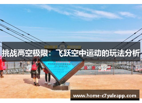 挑战高空极限：飞跃空中运动的玩法分析